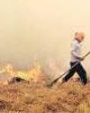 Farm fires’ share in city’s pollution falls to 3.5%: CPCB24