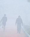 Fog, PM2.5 spike push air back to ‘very poor’23