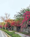 Delhi sees cleanest air Oct; all pollution curbs lifted29