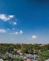 Scattered rainfall in morning gives way to sunny skies; max at normal14