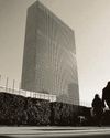 Iran war diminishes the idea of America, and UN’s relevance66