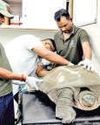 Huge turtle rescued from pond in E Delhi22