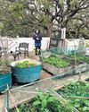 Hindustan Times Delhi