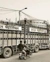Hindustan Times Delhi