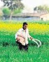 India fertiliser output rises in April but still short of normal level66