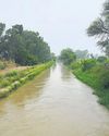 Delhi govt’s Munak corridor plan may face green hurdle Delhi govt’s Munak corridor plan may face green hurdle15