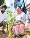 Mass Tree Plantation Drive Takes off in the National Capital Mass Tree Plantation Drive Takes off in the National Capital19