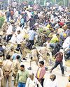 Tension as cow vigilante run over by truck in UP26