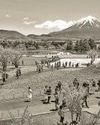 A little bit of Japan in the lives of Indians38