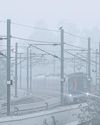 Foggy morning in Delhi keeps mercury in check17