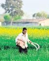 Fertiliser output falls to five-year low in March70