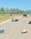 After yrs of violence, two Bastar districts free of LWE menace