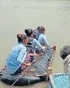 Heavy rains to continue in state this week: IMD8
