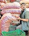 Hindustan Times Jaipur