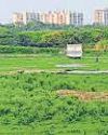 Illegal cricket turf in Gomti Ngr razed9