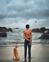 The lost indies: Desolate canines filmed during pandemic find gallery space14