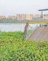 NGT forms joint committee to look into residents’ grievances about Powai Lake9