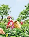 Modi: BJP’s third term is confirmed in Assam20