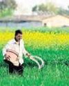 India gets fertiliser offers near $1,000 as war drives up costs41