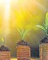 Centre may raise green bond target by 25% in FY26