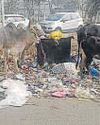 G Noida to Set up solid waste plant in Astoli by next Feb