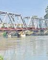 PWD submits revised UG Canal road plan to minimise tree loss7