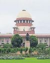 Feed them in your house: SC on street dogs petition18