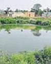 '50ha pond area in GB Ngr encroached upon'24