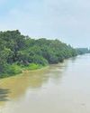 Realigned Upper Ganga Canal road to spare trees: UP to NGT10