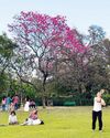 An American in Lodhi Garden15