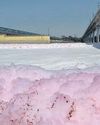 Yamuna covered in pink froth, raising concerns over pollution18