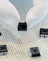 Tata chip unit raises $735 mn from banks69