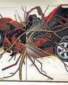 Art in beast mode7