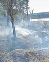 NGT seeks PMC response on garbage burning issue21