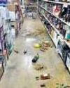 Raccoon goes on drunken rampage in liquor store, passes out in toilet27