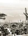 Unravelling of President Trump’s tariff strategy Unravelling of President Trump’s tariff strategy18