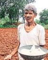 India in talks with nations to secure fertiliser supply India in talks with nations to secure fertiliser supply32