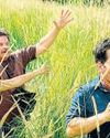 Comedy or horror? Sadly, this Paul and Jack-starrer is neither22
