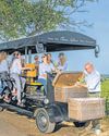 On a white wine sipping trip in sunny Burgundy On a white wine sipping trip in sunny Burgundy