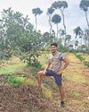 CAN AZTEC'S 'TESTICLE' MAKE INDIAN FARMERS RICH?35