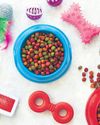Pet care turns into India's next FMCG battleground20