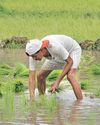 Budget may allocate ₹28,000 crore to food processing schemes23