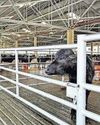 Centre weighs DNA-based testing for meat verification Centre weighs DNA-based testing for meat verification38