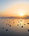 Hormuz crisis exposes a global flaw that will take years to fix Hormuz crisis exposes a global flaw that will take years to fix27