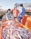 India's seafood wins US nod Mint Chennai