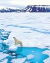 Inside the West's race to defend the Arctic27
