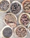 Is your herbal medicine safe? Govt lens on report of microbes Is your herbal medicine safe? Govt lens on report of microbes36
