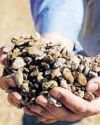 Cabinet may clear rare earth magnet PLI scheme in Dec18