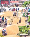 Eyeing exports, India to tap AI for quality checks, distribution, storage6