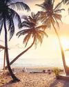 Notes from a quiet Goa beach on getting our tourism act together45